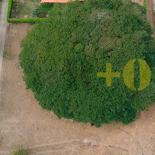 LOTE PARA LA VENTA "Santa Elena"