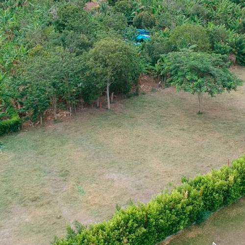 LOTE EN ROZO